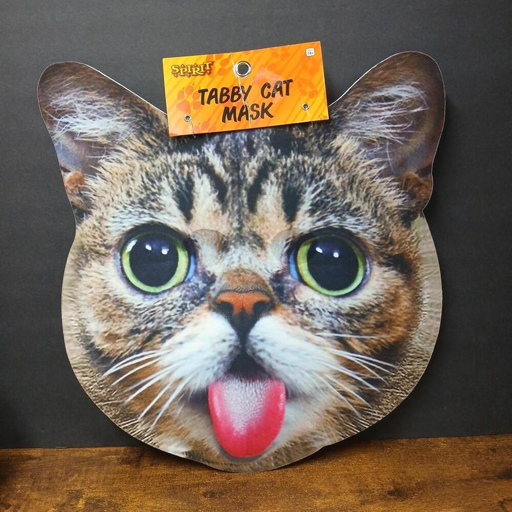 Large 16x16" Tabby Cat Mask, Spirit, Ages 14+